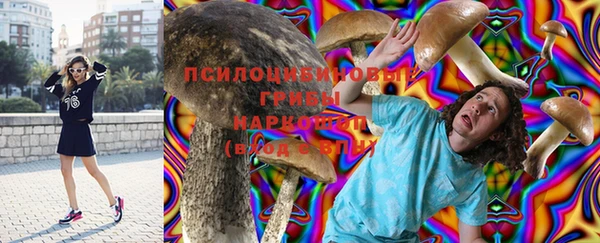 тгк Аркадак