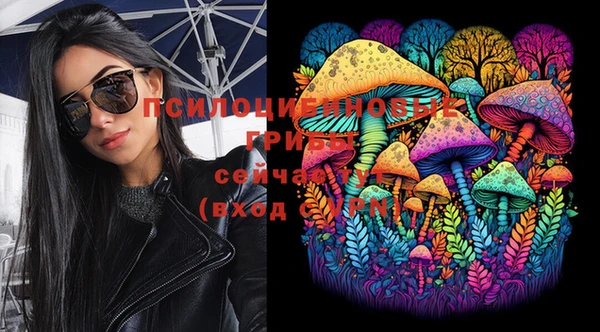 PSILOCYBIN Баксан