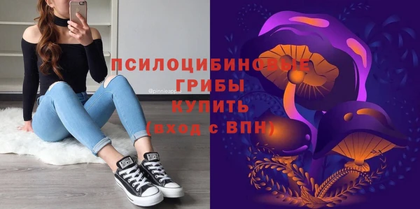 тгк Аркадак